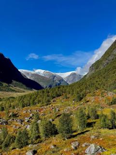 Tungestølen - Veitastrond - 2