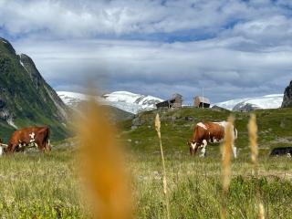 Tungestølen - Veitastrond - 1