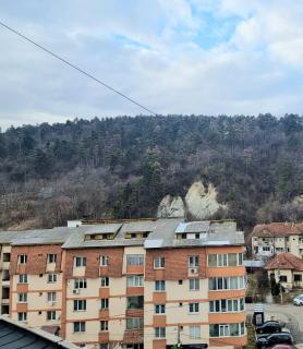 Feel Like Home - Piatra Neamţ - 5