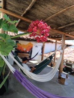ADVENTURE Hostel - San Gil - 5