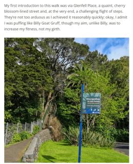 1 Queen Bed and 1 Sofa Bed, Studio B, 25 Glenfell Place, Epsom, Auckland - Auckland - 2
