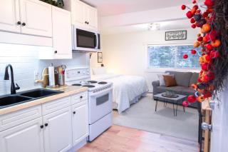 Oasis Top Floor Suite with Lake and Mtn View - Harrison Hot Springs - 9