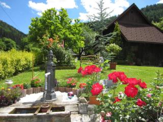Heidi's Schlummerkiste am Fuß der Teichalm - Breitenau am Hochlantsch - 8