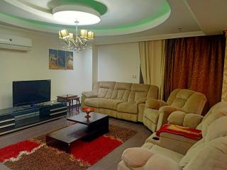 7شارع الموسيقار علي اسماعيل - Il Cairo - 4