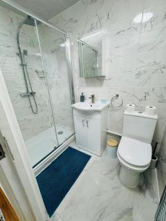 Notting Hill Guest Flat - Ealing - 2