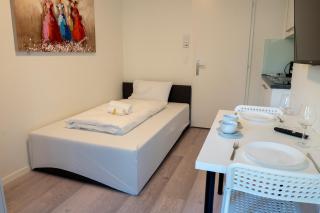 Cozy Urban Studio in the City BE-17 - Zürich - 6