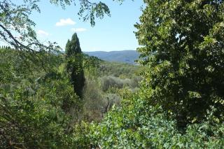 Country house at Podere Noceto - Grotti - 4