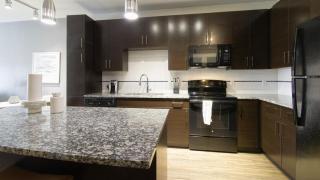 Landing - Modern Apartment with Amazing Amenities (ID8039X71) - 2