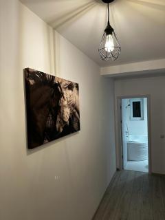 Best Apartment Suceava - 3