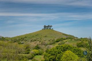 Rope Cottage - traditional cottage close to town - Bridport - 7