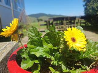 School Room Retreat - Matamata - 1