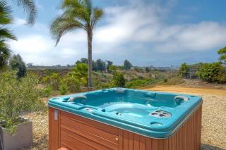 Nice home, Ocean views, and open space views. - Oceanside - 1