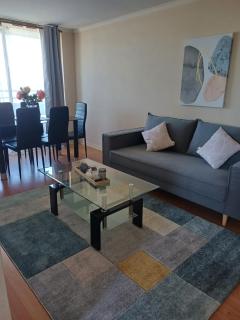 Depa triourbano - Temuco - 9