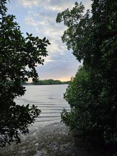 Willo's Treehouse - Escuintla - 7