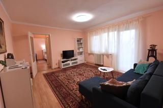 Dulcineea Apt- free parking-family friendly - Timişoara - 9