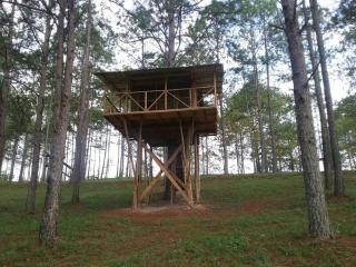 Cabaña La tortuga - 7