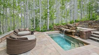 Paragon - 5