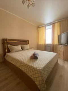 Комфортабельные - уютные апартаменты Костанай (Костанай Плаза) - 5