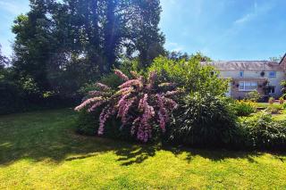Silhouette Cottage - Coleford - 8