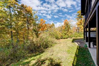 Large Log Cabin Chalet w/ Hot Tub - Horses & Lake! - Loveland - 9