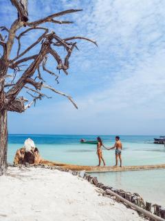 Casa Tinti Hotel Boutique - Tintipan Island - 5