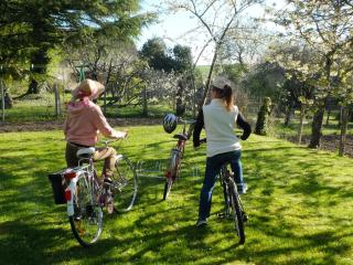 Gîte 7 pers avec jardin, vélos, proche Zoo de Beauval et Château de Valençay - FR-1-591-60 - Jeu-Maloches - 7