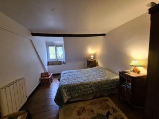 Charmante maison dans le Parc de la Brenne, idéale pour familles avec jardin, proche zoo et activités nature - FR-1-591-83 - Pouligny-Saint-Pierre - 8