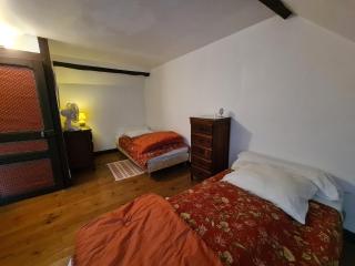 Charmante maison dans le Parc de la Brenne, idéale pour familles avec jardin, proche zoo et activités nature - FR-1-591-83 - Pouligny-Saint-Pierre - 6