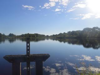 Maison rénovée au cœur du Parc Naturel de la Brenne avec jardin et terrasse - FR-1-591-44 - Saint-Aigny - 7