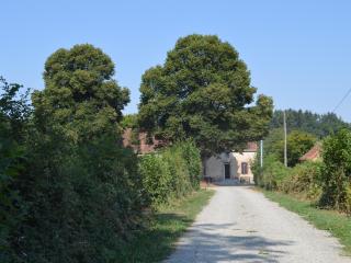 Grande ferme rénovée avec jardin et loisirs à proximité - FR-1-591-155 - Pouligny-Notre-Dame - 3