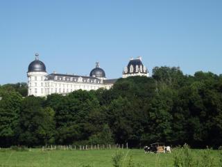 Maison de charme avec jardin et parking, proche Château & Zoo de Beauval - FR-1-591-160 - Bouges-le-Château - 2