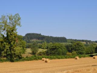 Gîte familial au calme avec grand jardin, balnéo et loisirs nautiques à proximité - FR-1-591-134 - Pouligny-Notre-Dame - 3
