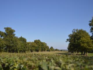 Ancienne ferme rénovée au cœur de la Vallée Noire avec jardin clos, vélos et équipements complets - FR-1-591-111 - Tranzault - 8