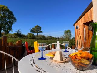 Gîte "Tout Inclus" en Campagne Berrichonne avec Terrasse & Parking Privé - FR-1-591-419 - Briantes - 0