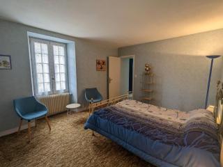 Maison spacieuse avec cour et cheminée au cœur du Parc Naturel de la Brenne - FR-1-591-229 - Mézières-en-Brenne - 9