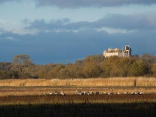 Séjour nature au cœur du Parc de la Brenne: gîte 4 chambres, jardin et terrasse, proche de Rosnay - FR-1-591-141 - 4