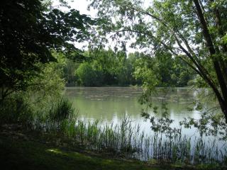 Gîte en Berry avec jardin, cheminée, jeux enfants - calme assuré en pleine nature - FR-1-591-158 - Sainte-Fauste - 5