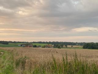 Gîte à la ferme avec jardin privé, clim et visite de l'exploitation près d'Argenton-sur-Creuse - FR-1-591-321 - Cluis - 9