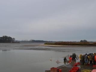 Gîtes Rénovés avec Piscine au Cœur de la Brenne – Proche Sites Naturels et Historiques - FR-1-591-327 - Rosnay - 6