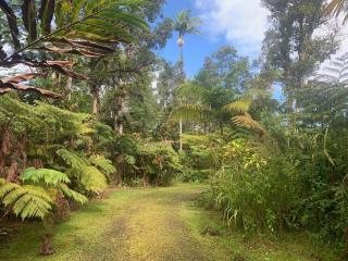 Lemon Tree Lanai - 7