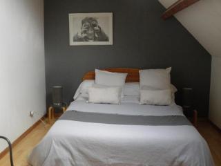 Gîte cosy en bord de rivière avec jardin, proche village médiéval, idéal famille, animaux acceptés - FR-1-489-247 - Hérisson - 2