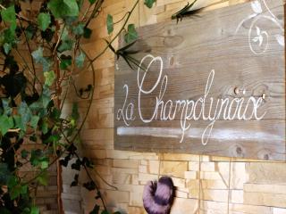 Gîte en bois avec piscine naturelle, 3 chambres avec terrasses privatives - FR-1-496-258 - Champoly - 9
