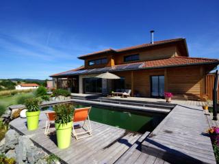 Gîte en bois avec piscine naturelle, 3 chambres avec terrasses privatives - FR-1-496-258 - Champoly - 8