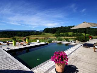 Gîte en bois avec piscine naturelle, 3 chambres avec terrasses privatives - FR-1-496-258 - Champoly - 7