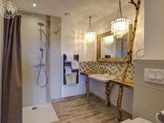 Gîte en bois avec piscine naturelle, 3 chambres avec terrasses privatives - FR-1-496-258 - 9