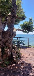 Driftwood Beach Villa - Gordonʼs Bay - 0
