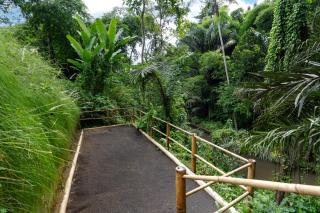 Villa Dream Life by BaliSuperHost - Ubud - 3