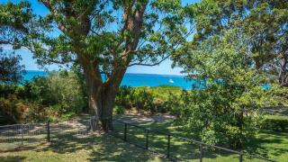 Beachfront- The Art Cottage- Pet Friendly - Vincentia - 2