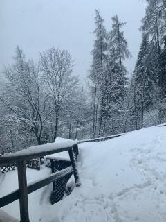 La Capannina - Madonna di Campiglio - 4