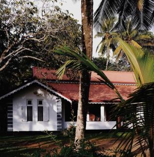 Rest Mo villa Mirissa - 2